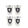 Campfire Stainless Steel Shot Glass Set