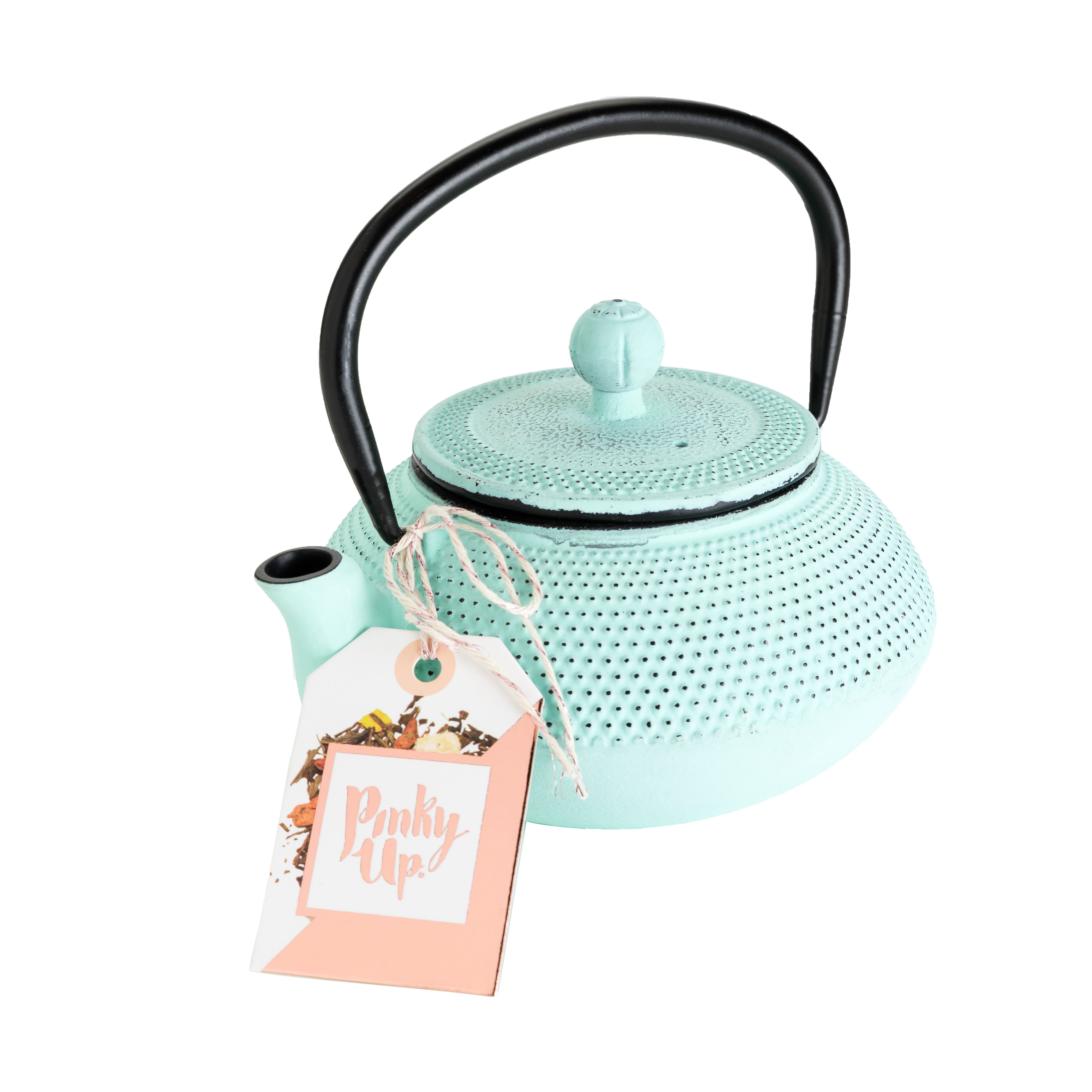 Miko Light Blue Cast Iron Teapot by Pinky Up