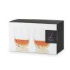 Raye: Crystal Cactus Tumblers (VISKI)