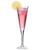 Transparent Martini/Champagne Glass